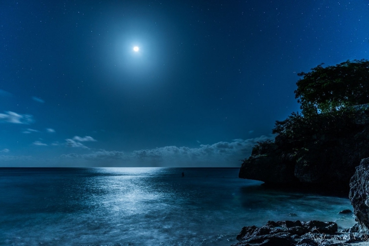 gallery/345300-landscape-nature-caribbean-sea-starry_night-moon-moonlight-island-beach-blue